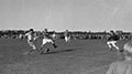 6.9.1953 LBV Phönix gegen Flensburg 08 (gewonnen)
