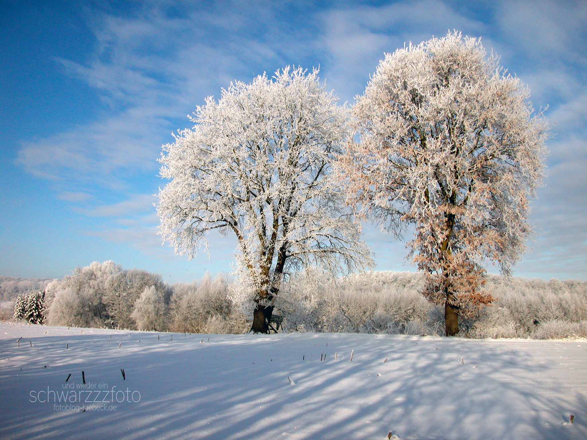 Als es noch echte Winter gab... im Januar 2003