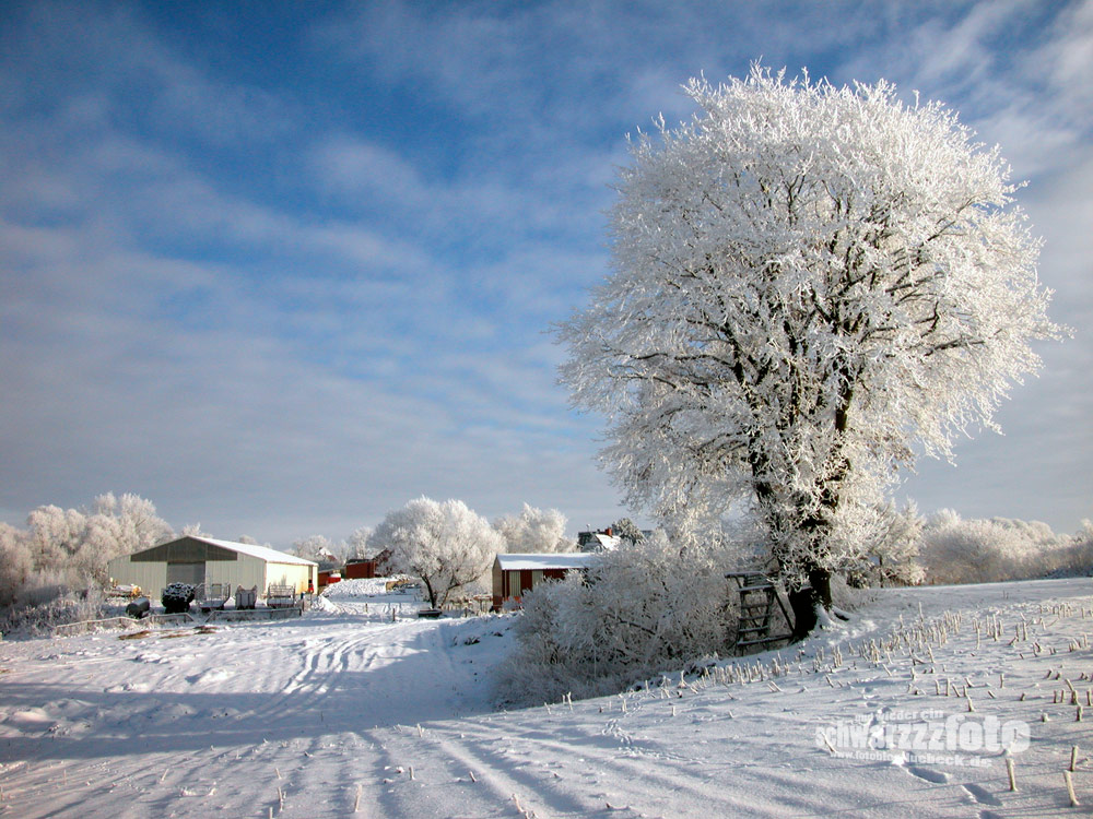 Als es noch echte Winter gab... im Januar 2003