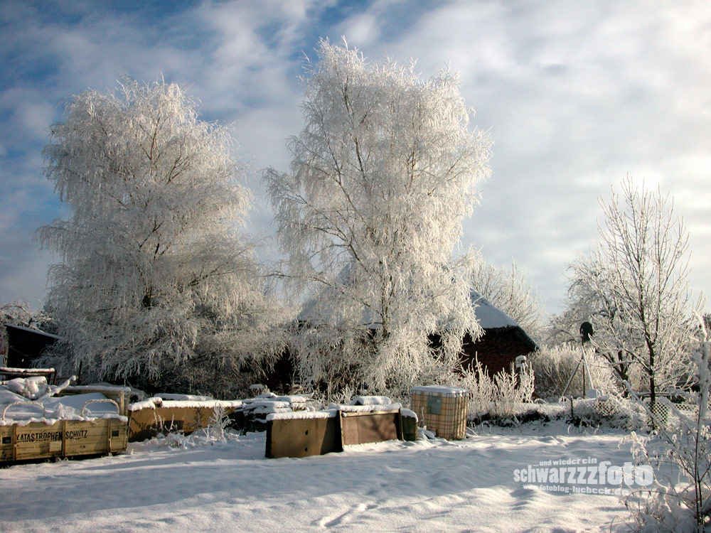Als es noch echte Winter gab... im Januar 2003